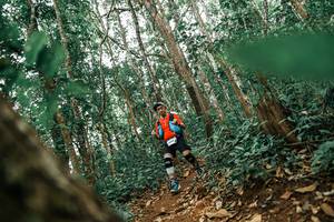 BIB: 
                            <button type="button" onclick="openModal(25556052)" class="btn btn-primary btn-sm float-right btn-popup" data-toggle="modal" data-target=".modal-high-quality">
                        <i class="fas fa-shopping-cart"></i> Add to Cart
                    </button>
                                            <button type="button" onclick="isThisMe(25556052, true)" class="btn btn-success btn-sm float-right btn-popup btn-isme hidden" data-toggle="tooltip" data-placement="bottom" title="นี่คือรูปของคุณใช่ไหม คลิกที่นี่เพื่อเอาเข้าอัลบั้ม">
                        <i class="fas fa-plus"></i> Add to album
                    </button>
                    <button type="button" onclick="isThisMe(25556052, false)" class="btn btn-warning btn-sm float-right btn-popup btn-isnotme hidden">
                        <i class="fas fa-ban"></i> Remove from album
                    </button>