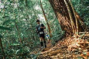 BIB: 
                            <button type="button" onclick="openModal(25565141)" class="btn btn-primary btn-sm float-right btn-popup" data-toggle="modal" data-target=".modal-high-quality">
                        <i class="fas fa-shopping-cart"></i> Add to Cart
                    </button>
                                            <button type="button" onclick="isThisMe(25565141, true)" class="btn btn-success btn-sm float-right btn-popup btn-isme hidden" data-toggle="tooltip" data-placement="bottom" title="นี่คือรูปของคุณใช่ไหม คลิกที่นี่เพื่อเอาเข้าอัลบั้ม">
                        <i class="fas fa-plus"></i> Add to album
                    </button>
                    <button type="button" onclick="isThisMe(25565141, false)" class="btn btn-warning btn-sm float-right btn-popup btn-isnotme hidden">
                        <i class="fas fa-ban"></i> Remove from album
                    </button>