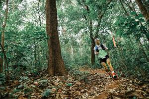 BIB: 
                            <button type="button" onclick="openModal(25536215)" class="btn btn-primary btn-sm float-right btn-popup" data-toggle="modal" data-target=".modal-high-quality">
                        <i class="fas fa-shopping-cart"></i> Add to Cart
                    </button>
                                            <button type="button" onclick="isThisMe(25536215, true)" class="btn btn-success btn-sm float-right btn-popup btn-isme hidden" data-toggle="tooltip" data-placement="bottom" title="นี่คือรูปของคุณใช่ไหม คลิกที่นี่เพื่อเอาเข้าอัลบั้ม">
                        <i class="fas fa-plus"></i> Add to album
                    </button>
                    <button type="button" onclick="isThisMe(25536215, false)" class="btn btn-warning btn-sm float-right btn-popup btn-isnotme hidden">
                        <i class="fas fa-ban"></i> Remove from album
                    </button>