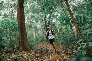 BIB: 
                            <button type="button" onclick="openModal(25549638)" class="btn btn-primary btn-sm float-right btn-popup" data-toggle="modal" data-target=".modal-high-quality">
                        <i class="fas fa-shopping-cart"></i> Add to Cart
                    </button>
                                            <button type="button" onclick="isThisMe(25549638, true)" class="btn btn-success btn-sm float-right btn-popup btn-isme hidden" data-toggle="tooltip" data-placement="bottom" title="นี่คือรูปของคุณใช่ไหม คลิกที่นี่เพื่อเอาเข้าอัลบั้ม">
                        <i class="fas fa-plus"></i> Add to album
                    </button>
                    <button type="button" onclick="isThisMe(25549638, false)" class="btn btn-warning btn-sm float-right btn-popup btn-isnotme hidden">
                        <i class="fas fa-ban"></i> Remove from album
                    </button>