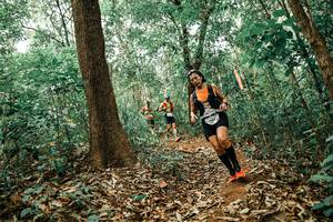 BIB: 
                            <button type="button" onclick="openModal(25535811)" class="btn btn-primary btn-sm float-right btn-popup" data-toggle="modal" data-target=".modal-high-quality">
                        <i class="fas fa-shopping-cart"></i> Add to Cart
                    </button>
                                            <button type="button" onclick="isThisMe(25535811, true)" class="btn btn-success btn-sm float-right btn-popup btn-isme hidden" data-toggle="tooltip" data-placement="bottom" title="นี่คือรูปของคุณใช่ไหม คลิกที่นี่เพื่อเอาเข้าอัลบั้ม">
                        <i class="fas fa-plus"></i> Add to album
                    </button>
                    <button type="button" onclick="isThisMe(25535811, false)" class="btn btn-warning btn-sm float-right btn-popup btn-isnotme hidden">
                        <i class="fas fa-ban"></i> Remove from album
                    </button>