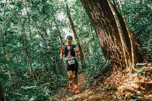 BIB: 
                            <button type="button" onclick="openModal(25564691)" class="btn btn-primary btn-sm float-right btn-popup" data-toggle="modal" data-target=".modal-high-quality">
                        <i class="fas fa-shopping-cart"></i> Add to Cart
                    </button>
                                            <button type="button" onclick="isThisMe(25564691, true)" class="btn btn-success btn-sm float-right btn-popup btn-isme hidden" data-toggle="tooltip" data-placement="bottom" title="นี่คือรูปของคุณใช่ไหม คลิกที่นี่เพื่อเอาเข้าอัลบั้ม">
                        <i class="fas fa-plus"></i> Add to album
                    </button>
                    <button type="button" onclick="isThisMe(25564691, false)" class="btn btn-warning btn-sm float-right btn-popup btn-isnotme hidden">
                        <i class="fas fa-ban"></i> Remove from album
                    </button>