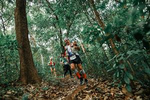 BIB: 
                            <button type="button" onclick="openModal(25545761)" class="btn btn-primary btn-sm float-right btn-popup" data-toggle="modal" data-target=".modal-high-quality">
                        <i class="fas fa-shopping-cart"></i> Add to Cart
                    </button>
                                            <button type="button" onclick="isThisMe(25545761, true)" class="btn btn-success btn-sm float-right btn-popup btn-isme hidden" data-toggle="tooltip" data-placement="bottom" title="นี่คือรูปของคุณใช่ไหม คลิกที่นี่เพื่อเอาเข้าอัลบั้ม">
                        <i class="fas fa-plus"></i> Add to album
                    </button>
                    <button type="button" onclick="isThisMe(25545761, false)" class="btn btn-warning btn-sm float-right btn-popup btn-isnotme hidden">
                        <i class="fas fa-ban"></i> Remove from album
                    </button>