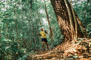 BIB: 
                            <button type="button" onclick="openModal(25565050)" class="btn btn-primary btn-sm float-right btn-popup" data-toggle="modal" data-target=".modal-high-quality">
                        <i class="fas fa-shopping-cart"></i> Add to Cart
                    </button>
                                            <button type="button" onclick="isThisMe(25565050, true)" class="btn btn-success btn-sm float-right btn-popup btn-isme hidden" data-toggle="tooltip" data-placement="bottom" title="นี่คือรูปของคุณใช่ไหม คลิกที่นี่เพื่อเอาเข้าอัลบั้ม">
                        <i class="fas fa-plus"></i> Add to album
                    </button>
                    <button type="button" onclick="isThisMe(25565050, false)" class="btn btn-warning btn-sm float-right btn-popup btn-isnotme hidden">
                        <i class="fas fa-ban"></i> Remove from album
                    </button>