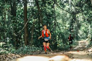 BIB: 
                            <button type="button" onclick="openModal(25576673)" class="btn btn-primary btn-sm float-right btn-popup" data-toggle="modal" data-target=".modal-high-quality">
                        <i class="fas fa-shopping-cart"></i> Add to Cart
                    </button>
                                            <button type="button" onclick="isThisMe(25576673, true)" class="btn btn-success btn-sm float-right btn-popup btn-isme hidden" data-toggle="tooltip" data-placement="bottom" title="นี่คือรูปของคุณใช่ไหม คลิกที่นี่เพื่อเอาเข้าอัลบั้ม">
                        <i class="fas fa-plus"></i> Add to album
                    </button>
                    <button type="button" onclick="isThisMe(25576673, false)" class="btn btn-warning btn-sm float-right btn-popup btn-isnotme hidden">
                        <i class="fas fa-ban"></i> Remove from album
                    </button>