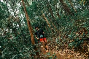 BIB: 
                            <button type="button" onclick="openModal(25561721)" class="btn btn-primary btn-sm float-right btn-popup" data-toggle="modal" data-target=".modal-high-quality">
                        <i class="fas fa-shopping-cart"></i> Add to Cart
                    </button>
                                            <button type="button" onclick="isThisMe(25561721, true)" class="btn btn-success btn-sm float-right btn-popup btn-isme hidden" data-toggle="tooltip" data-placement="bottom" title="นี่คือรูปของคุณใช่ไหม คลิกที่นี่เพื่อเอาเข้าอัลบั้ม">
                        <i class="fas fa-plus"></i> Add to album
                    </button>
                    <button type="button" onclick="isThisMe(25561721, false)" class="btn btn-warning btn-sm float-right btn-popup btn-isnotme hidden">
                        <i class="fas fa-ban"></i> Remove from album
                    </button>