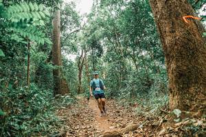 BIB: 
                            <button type="button" onclick="openModal(25569205)" class="btn btn-primary btn-sm float-right btn-popup" data-toggle="modal" data-target=".modal-high-quality">
                        <i class="fas fa-shopping-cart"></i> Add to Cart
                    </button>
                                            <button type="button" onclick="isThisMe(25569205, true)" class="btn btn-success btn-sm float-right btn-popup btn-isme hidden" data-toggle="tooltip" data-placement="bottom" title="นี่คือรูปของคุณใช่ไหม คลิกที่นี่เพื่อเอาเข้าอัลบั้ม">
                        <i class="fas fa-plus"></i> Add to album
                    </button>
                    <button type="button" onclick="isThisMe(25569205, false)" class="btn btn-warning btn-sm float-right btn-popup btn-isnotme hidden">
                        <i class="fas fa-ban"></i> Remove from album
                    </button>