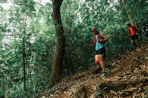 BIB: 
                            <button type="button" onclick="openModal(25534478)" class="btn btn-primary btn-sm float-right btn-popup" data-toggle="modal" data-target=".modal-high-quality">
                        <i class="fas fa-shopping-cart"></i> Add to Cart
                    </button>
                                            <button type="button" onclick="isThisMe(25534478, true)" class="btn btn-success btn-sm float-right btn-popup btn-isme hidden" data-toggle="tooltip" data-placement="bottom" title="นี่คือรูปของคุณใช่ไหม คลิกที่นี่เพื่อเอาเข้าอัลบั้ม">
                        <i class="fas fa-plus"></i> Add to album
                    </button>
                    <button type="button" onclick="isThisMe(25534478, false)" class="btn btn-warning btn-sm float-right btn-popup btn-isnotme hidden">
                        <i class="fas fa-ban"></i> Remove from album
                    </button>