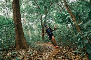 BIB: 
                            <button type="button" onclick="openModal(25542386)" class="btn btn-primary btn-sm float-right btn-popup" data-toggle="modal" data-target=".modal-high-quality">
                        <i class="fas fa-shopping-cart"></i> Add to Cart
                    </button>
                                            <button type="button" onclick="isThisMe(25542386, true)" class="btn btn-success btn-sm float-right btn-popup btn-isme hidden" data-toggle="tooltip" data-placement="bottom" title="นี่คือรูปของคุณใช่ไหม คลิกที่นี่เพื่อเอาเข้าอัลบั้ม">
                        <i class="fas fa-plus"></i> Add to album
                    </button>
                    <button type="button" onclick="isThisMe(25542386, false)" class="btn btn-warning btn-sm float-right btn-popup btn-isnotme hidden">
                        <i class="fas fa-ban"></i> Remove from album
                    </button>