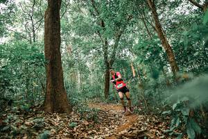 BIB: 
                            <button type="button" onclick="openModal(25538750)" class="btn btn-primary btn-sm float-right btn-popup" data-toggle="modal" data-target=".modal-high-quality">
                        <i class="fas fa-shopping-cart"></i> Add to Cart
                    </button>
                                            <button type="button" onclick="isThisMe(25538750, true)" class="btn btn-success btn-sm float-right btn-popup btn-isme hidden" data-toggle="tooltip" data-placement="bottom" title="นี่คือรูปของคุณใช่ไหม คลิกที่นี่เพื่อเอาเข้าอัลบั้ม">
                        <i class="fas fa-plus"></i> Add to album
                    </button>
                    <button type="button" onclick="isThisMe(25538750, false)" class="btn btn-warning btn-sm float-right btn-popup btn-isnotme hidden">
                        <i class="fas fa-ban"></i> Remove from album
                    </button>