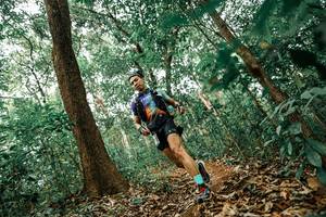 BIB: 
                            <button type="button" onclick="openModal(25545548)" class="btn btn-primary btn-sm float-right btn-popup" data-toggle="modal" data-target=".modal-high-quality">
                        <i class="fas fa-shopping-cart"></i> Add to Cart
                    </button>
                                            <button type="button" onclick="isThisMe(25545548, true)" class="btn btn-success btn-sm float-right btn-popup btn-isme hidden" data-toggle="tooltip" data-placement="bottom" title="นี่คือรูปของคุณใช่ไหม คลิกที่นี่เพื่อเอาเข้าอัลบั้ม">
                        <i class="fas fa-plus"></i> Add to album
                    </button>
                    <button type="button" onclick="isThisMe(25545548, false)" class="btn btn-warning btn-sm float-right btn-popup btn-isnotme hidden">
                        <i class="fas fa-ban"></i> Remove from album
                    </button>