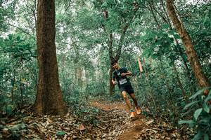 BIB: 
                            <button type="button" onclick="openModal(25546808)" class="btn btn-primary btn-sm float-right btn-popup" data-toggle="modal" data-target=".modal-high-quality">
                        <i class="fas fa-shopping-cart"></i> Add to Cart
                    </button>
                                            <button type="button" onclick="isThisMe(25546808, true)" class="btn btn-success btn-sm float-right btn-popup btn-isme hidden" data-toggle="tooltip" data-placement="bottom" title="นี่คือรูปของคุณใช่ไหม คลิกที่นี่เพื่อเอาเข้าอัลบั้ม">
                        <i class="fas fa-plus"></i> Add to album
                    </button>
                    <button type="button" onclick="isThisMe(25546808, false)" class="btn btn-warning btn-sm float-right btn-popup btn-isnotme hidden">
                        <i class="fas fa-ban"></i> Remove from album
                    </button>