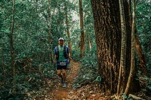 BIB: 
                            <button type="button" onclick="openModal(25565887)" class="btn btn-primary btn-sm float-right btn-popup" data-toggle="modal" data-target=".modal-high-quality">
                        <i class="fas fa-shopping-cart"></i> Add to Cart
                    </button>
                                            <button type="button" onclick="isThisMe(25565887, true)" class="btn btn-success btn-sm float-right btn-popup btn-isme hidden" data-toggle="tooltip" data-placement="bottom" title="นี่คือรูปของคุณใช่ไหม คลิกที่นี่เพื่อเอาเข้าอัลบั้ม">
                        <i class="fas fa-plus"></i> Add to album
                    </button>
                    <button type="button" onclick="isThisMe(25565887, false)" class="btn btn-warning btn-sm float-right btn-popup btn-isnotme hidden">
                        <i class="fas fa-ban"></i> Remove from album
                    </button>