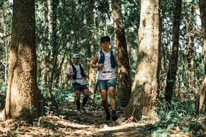 BIB: 
                            <button type="button" onclick="openModal(25666465)" class="btn btn-primary btn-sm float-right btn-popup" data-toggle="modal" data-target=".modal-high-quality">
                        <i class="fas fa-shopping-cart"></i> Add to Cart
                    </button>
                                            <button type="button" onclick="isThisMe(25666465, true)" class="btn btn-success btn-sm float-right btn-popup btn-isme hidden" data-toggle="tooltip" data-placement="bottom" title="นี่คือรูปของคุณใช่ไหม คลิกที่นี่เพื่อเอาเข้าอัลบั้ม">
                        <i class="fas fa-plus"></i> Add to album
                    </button>
                    <button type="button" onclick="isThisMe(25666465, false)" class="btn btn-warning btn-sm float-right btn-popup btn-isnotme hidden">
                        <i class="fas fa-ban"></i> Remove from album
                    </button>