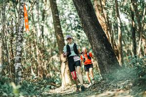 BIB: 
                            <button type="button" onclick="openModal(25667499)" class="btn btn-primary btn-sm float-right btn-popup" data-toggle="modal" data-target=".modal-high-quality">
                        <i class="fas fa-shopping-cart"></i> Add to Cart
                    </button>
                                            <button type="button" onclick="isThisMe(25667499, true)" class="btn btn-success btn-sm float-right btn-popup btn-isme hidden" data-toggle="tooltip" data-placement="bottom" title="นี่คือรูปของคุณใช่ไหม คลิกที่นี่เพื่อเอาเข้าอัลบั้ม">
                        <i class="fas fa-plus"></i> Add to album
                    </button>
                    <button type="button" onclick="isThisMe(25667499, false)" class="btn btn-warning btn-sm float-right btn-popup btn-isnotme hidden">
                        <i class="fas fa-ban"></i> Remove from album
                    </button>