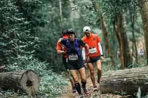 BIB: 
                            <button type="button" onclick="openModal(25931870)" class="btn btn-primary btn-sm float-right btn-popup" data-toggle="modal" data-target=".modal-high-quality">
                        <i class="fas fa-shopping-cart"></i> Add to Cart
                    </button>
                                            <button type="button" onclick="isThisMe(25931870, true)" class="btn btn-success btn-sm float-right btn-popup btn-isme hidden" data-toggle="tooltip" data-placement="bottom" title="นี่คือรูปของคุณใช่ไหม คลิกที่นี่เพื่อเอาเข้าอัลบั้ม">
                        <i class="fas fa-plus"></i> Add to album
                    </button>
                    <button type="button" onclick="isThisMe(25931870, false)" class="btn btn-warning btn-sm float-right btn-popup btn-isnotme hidden">
                        <i class="fas fa-ban"></i> Remove from album
                    </button>