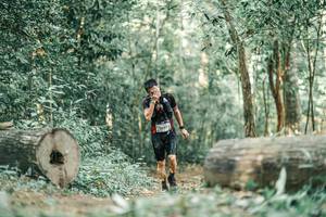 BIB: 
                            <button type="button" onclick="openModal(25923742)" class="btn btn-primary btn-sm float-right btn-popup" data-toggle="modal" data-target=".modal-high-quality">
                        <i class="fas fa-shopping-cart"></i> Add to Cart
                    </button>
                                            <button type="button" onclick="isThisMe(25923742, true)" class="btn btn-success btn-sm float-right btn-popup btn-isme hidden" data-toggle="tooltip" data-placement="bottom" title="นี่คือรูปของคุณใช่ไหม คลิกที่นี่เพื่อเอาเข้าอัลบั้ม">
                        <i class="fas fa-plus"></i> Add to album
                    </button>
                    <button type="button" onclick="isThisMe(25923742, false)" class="btn btn-warning btn-sm float-right btn-popup btn-isnotme hidden">
                        <i class="fas fa-ban"></i> Remove from album
                    </button>