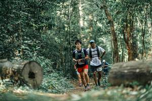 BIB: 
                            <button type="button" onclick="openModal(25927575)" class="btn btn-primary btn-sm float-right btn-popup" data-toggle="modal" data-target=".modal-high-quality">
                        <i class="fas fa-shopping-cart"></i> Add to Cart
                    </button>
                                            <button type="button" onclick="isThisMe(25927575, true)" class="btn btn-success btn-sm float-right btn-popup btn-isme hidden" data-toggle="tooltip" data-placement="bottom" title="นี่คือรูปของคุณใช่ไหม คลิกที่นี่เพื่อเอาเข้าอัลบั้ม">
                        <i class="fas fa-plus"></i> Add to album
                    </button>
                    <button type="button" onclick="isThisMe(25927575, false)" class="btn btn-warning btn-sm float-right btn-popup btn-isnotme hidden">
                        <i class="fas fa-ban"></i> Remove from album
                    </button>