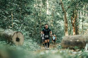 BIB: 
                            <button type="button" onclick="openModal(25931060)" class="btn btn-primary btn-sm float-right btn-popup" data-toggle="modal" data-target=".modal-high-quality">
                        <i class="fas fa-shopping-cart"></i> Add to Cart
                    </button>
                                            <button type="button" onclick="isThisMe(25931060, true)" class="btn btn-success btn-sm float-right btn-popup btn-isme hidden" data-toggle="tooltip" data-placement="bottom" title="นี่คือรูปของคุณใช่ไหม คลิกที่นี่เพื่อเอาเข้าอัลบั้ม">
                        <i class="fas fa-plus"></i> Add to album
                    </button>
                    <button type="button" onclick="isThisMe(25931060, false)" class="btn btn-warning btn-sm float-right btn-popup btn-isnotme hidden">
                        <i class="fas fa-ban"></i> Remove from album
                    </button>