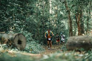 BIB: 
                            <button type="button" onclick="openModal(25927388)" class="btn btn-primary btn-sm float-right btn-popup" data-toggle="modal" data-target=".modal-high-quality">
                        <i class="fas fa-shopping-cart"></i> Add to Cart
                    </button>
                                            <button type="button" onclick="isThisMe(25927388, true)" class="btn btn-success btn-sm float-right btn-popup btn-isme hidden" data-toggle="tooltip" data-placement="bottom" title="นี่คือรูปของคุณใช่ไหม คลิกที่นี่เพื่อเอาเข้าอัลบั้ม">
                        <i class="fas fa-plus"></i> Add to album
                    </button>
                    <button type="button" onclick="isThisMe(25927388, false)" class="btn btn-warning btn-sm float-right btn-popup btn-isnotme hidden">
                        <i class="fas fa-ban"></i> Remove from album
                    </button>