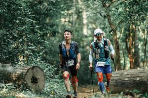 BIB: 
                            <button type="button" onclick="openModal(25928179)" class="btn btn-primary btn-sm float-right btn-popup" data-toggle="modal" data-target=".modal-high-quality">
                        <i class="fas fa-shopping-cart"></i> Add to Cart
                    </button>
                                            <button type="button" onclick="isThisMe(25928179, true)" class="btn btn-success btn-sm float-right btn-popup btn-isme hidden" data-toggle="tooltip" data-placement="bottom" title="นี่คือรูปของคุณใช่ไหม คลิกที่นี่เพื่อเอาเข้าอัลบั้ม">
                        <i class="fas fa-plus"></i> Add to album
                    </button>
                    <button type="button" onclick="isThisMe(25928179, false)" class="btn btn-warning btn-sm float-right btn-popup btn-isnotme hidden">
                        <i class="fas fa-ban"></i> Remove from album
                    </button>