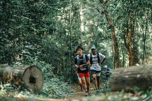 BIB: 
                            <button type="button" onclick="openModal(25927566)" class="btn btn-primary btn-sm float-right btn-popup" data-toggle="modal" data-target=".modal-high-quality">
                        <i class="fas fa-shopping-cart"></i> Add to Cart
                    </button>
                                            <button type="button" onclick="isThisMe(25927566, true)" class="btn btn-success btn-sm float-right btn-popup btn-isme hidden" data-toggle="tooltip" data-placement="bottom" title="นี่คือรูปของคุณใช่ไหม คลิกที่นี่เพื่อเอาเข้าอัลบั้ม">
                        <i class="fas fa-plus"></i> Add to album
                    </button>
                    <button type="button" onclick="isThisMe(25927566, false)" class="btn btn-warning btn-sm float-right btn-popup btn-isnotme hidden">
                        <i class="fas fa-ban"></i> Remove from album
                    </button>