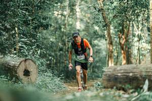 BIB: 
                            <button type="button" onclick="openModal(25931288)" class="btn btn-primary btn-sm float-right btn-popup" data-toggle="modal" data-target=".modal-high-quality">
                        <i class="fas fa-shopping-cart"></i> Add to Cart
                    </button>
                                            <button type="button" onclick="isThisMe(25931288, true)" class="btn btn-success btn-sm float-right btn-popup btn-isme hidden" data-toggle="tooltip" data-placement="bottom" title="นี่คือรูปของคุณใช่ไหม คลิกที่นี่เพื่อเอาเข้าอัลบั้ม">
                        <i class="fas fa-plus"></i> Add to album
                    </button>
                    <button type="button" onclick="isThisMe(25931288, false)" class="btn btn-warning btn-sm float-right btn-popup btn-isnotme hidden">
                        <i class="fas fa-ban"></i> Remove from album
                    </button>