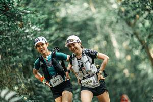 BIB: 
                            <button type="button" onclick="openModal(25926810)" class="btn btn-primary btn-sm float-right btn-popup" data-toggle="modal" data-target=".modal-high-quality">
                        <i class="fas fa-shopping-cart"></i> Add to Cart
                    </button>
                                            <button type="button" onclick="isThisMe(25926810, true)" class="btn btn-success btn-sm float-right btn-popup btn-isme hidden" data-toggle="tooltip" data-placement="bottom" title="นี่คือรูปของคุณใช่ไหม คลิกที่นี่เพื่อเอาเข้าอัลบั้ม">
                        <i class="fas fa-plus"></i> Add to album
                    </button>
                    <button type="button" onclick="isThisMe(25926810, false)" class="btn btn-warning btn-sm float-right btn-popup btn-isnotme hidden">
                        <i class="fas fa-ban"></i> Remove from album
                    </button>