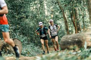 BIB: 
                            <button type="button" onclick="openModal(25926667)" class="btn btn-primary btn-sm float-right btn-popup" data-toggle="modal" data-target=".modal-high-quality">
                        <i class="fas fa-shopping-cart"></i> Add to Cart
                    </button>
                                            <button type="button" onclick="isThisMe(25926667, true)" class="btn btn-success btn-sm float-right btn-popup btn-isme hidden" data-toggle="tooltip" data-placement="bottom" title="นี่คือรูปของคุณใช่ไหม คลิกที่นี่เพื่อเอาเข้าอัลบั้ม">
                        <i class="fas fa-plus"></i> Add to album
                    </button>
                    <button type="button" onclick="isThisMe(25926667, false)" class="btn btn-warning btn-sm float-right btn-popup btn-isnotme hidden">
                        <i class="fas fa-ban"></i> Remove from album
                    </button>