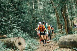 BIB: 
                            <button type="button" onclick="openModal(25926065)" class="btn btn-primary btn-sm float-right btn-popup" data-toggle="modal" data-target=".modal-high-quality">
                        <i class="fas fa-shopping-cart"></i> Add to Cart
                    </button>
                                            <button type="button" onclick="isThisMe(25926065, true)" class="btn btn-success btn-sm float-right btn-popup btn-isme hidden" data-toggle="tooltip" data-placement="bottom" title="นี่คือรูปของคุณใช่ไหม คลิกที่นี่เพื่อเอาเข้าอัลบั้ม">
                        <i class="fas fa-plus"></i> Add to album
                    </button>
                    <button type="button" onclick="isThisMe(25926065, false)" class="btn btn-warning btn-sm float-right btn-popup btn-isnotme hidden">
                        <i class="fas fa-ban"></i> Remove from album
                    </button>