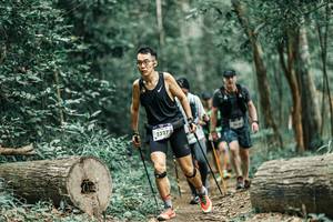 BIB: 
                            <button type="button" onclick="openModal(25927160)" class="btn btn-primary btn-sm float-right btn-popup" data-toggle="modal" data-target=".modal-high-quality">
                        <i class="fas fa-shopping-cart"></i> Add to Cart
                    </button>
                                            <button type="button" onclick="isThisMe(25927160, true)" class="btn btn-success btn-sm float-right btn-popup btn-isme hidden" data-toggle="tooltip" data-placement="bottom" title="นี่คือรูปของคุณใช่ไหม คลิกที่นี่เพื่อเอาเข้าอัลบั้ม">
                        <i class="fas fa-plus"></i> Add to album
                    </button>
                    <button type="button" onclick="isThisMe(25927160, false)" class="btn btn-warning btn-sm float-right btn-popup btn-isnotme hidden">
                        <i class="fas fa-ban"></i> Remove from album
                    </button>