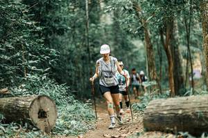 BIB: 
                            <button type="button" onclick="openModal(25931541)" class="btn btn-primary btn-sm float-right btn-popup" data-toggle="modal" data-target=".modal-high-quality">
                        <i class="fas fa-shopping-cart"></i> Add to Cart
                    </button>
                                            <button type="button" onclick="isThisMe(25931541, true)" class="btn btn-success btn-sm float-right btn-popup btn-isme hidden" data-toggle="tooltip" data-placement="bottom" title="นี่คือรูปของคุณใช่ไหม คลิกที่นี่เพื่อเอาเข้าอัลบั้ม">
                        <i class="fas fa-plus"></i> Add to album
                    </button>
                    <button type="button" onclick="isThisMe(25931541, false)" class="btn btn-warning btn-sm float-right btn-popup btn-isnotme hidden">
                        <i class="fas fa-ban"></i> Remove from album
                    </button>