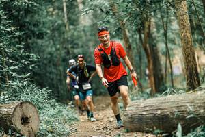 BIB: 
                            <button type="button" onclick="openModal(25923490)" class="btn btn-primary btn-sm float-right btn-popup" data-toggle="modal" data-target=".modal-high-quality">
                        <i class="fas fa-shopping-cart"></i> Add to Cart
                    </button>
                                            <button type="button" onclick="isThisMe(25923490, true)" class="btn btn-success btn-sm float-right btn-popup btn-isme hidden" data-toggle="tooltip" data-placement="bottom" title="นี่คือรูปของคุณใช่ไหม คลิกที่นี่เพื่อเอาเข้าอัลบั้ม">
                        <i class="fas fa-plus"></i> Add to album
                    </button>
                    <button type="button" onclick="isThisMe(25923490, false)" class="btn btn-warning btn-sm float-right btn-popup btn-isnotme hidden">
                        <i class="fas fa-ban"></i> Remove from album
                    </button>