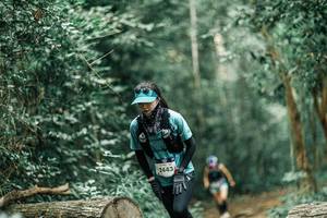 BIB: 
                            <button type="button" onclick="openModal(25932899)" class="btn btn-primary btn-sm float-right btn-popup" data-toggle="modal" data-target=".modal-high-quality">
                        <i class="fas fa-shopping-cart"></i> Add to Cart
                    </button>
                                            <button type="button" onclick="isThisMe(25932899, true)" class="btn btn-success btn-sm float-right btn-popup btn-isme hidden" data-toggle="tooltip" data-placement="bottom" title="นี่คือรูปของคุณใช่ไหม คลิกที่นี่เพื่อเอาเข้าอัลบั้ม">
                        <i class="fas fa-plus"></i> Add to album
                    </button>
                    <button type="button" onclick="isThisMe(25932899, false)" class="btn btn-warning btn-sm float-right btn-popup btn-isnotme hidden">
                        <i class="fas fa-ban"></i> Remove from album
                    </button>