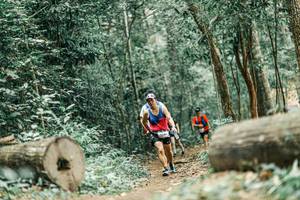 BIB: 
                            <button type="button" onclick="openModal(25930266)" class="btn btn-primary btn-sm float-right btn-popup" data-toggle="modal" data-target=".modal-high-quality">
                        <i class="fas fa-shopping-cart"></i> Add to Cart
                    </button>
                                            <button type="button" onclick="isThisMe(25930266, true)" class="btn btn-success btn-sm float-right btn-popup btn-isme hidden" data-toggle="tooltip" data-placement="bottom" title="นี่คือรูปของคุณใช่ไหม คลิกที่นี่เพื่อเอาเข้าอัลบั้ม">
                        <i class="fas fa-plus"></i> Add to album
                    </button>
                    <button type="button" onclick="isThisMe(25930266, false)" class="btn btn-warning btn-sm float-right btn-popup btn-isnotme hidden">
                        <i class="fas fa-ban"></i> Remove from album
                    </button>