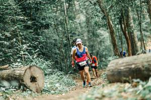 BIB: 
                            <button type="button" onclick="openModal(25930299)" class="btn btn-primary btn-sm float-right btn-popup" data-toggle="modal" data-target=".modal-high-quality">
                        <i class="fas fa-shopping-cart"></i> Add to Cart
                    </button>
                                            <button type="button" onclick="isThisMe(25930299, true)" class="btn btn-success btn-sm float-right btn-popup btn-isme hidden" data-toggle="tooltip" data-placement="bottom" title="นี่คือรูปของคุณใช่ไหม คลิกที่นี่เพื่อเอาเข้าอัลบั้ม">
                        <i class="fas fa-plus"></i> Add to album
                    </button>
                    <button type="button" onclick="isThisMe(25930299, false)" class="btn btn-warning btn-sm float-right btn-popup btn-isnotme hidden">
                        <i class="fas fa-ban"></i> Remove from album
                    </button>