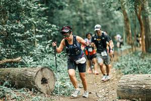 BIB: 
                            <button type="button" onclick="openModal(25983880)" class="btn btn-primary btn-sm float-right btn-popup" data-toggle="modal" data-target=".modal-high-quality">
                        <i class="fas fa-shopping-cart"></i> Add to Cart
                    </button>
                                            <button type="button" onclick="isThisMe(25983880, true)" class="btn btn-success btn-sm float-right btn-popup btn-isme hidden" data-toggle="tooltip" data-placement="bottom" title="นี่คือรูปของคุณใช่ไหม คลิกที่นี่เพื่อเอาเข้าอัลบั้ม">
                        <i class="fas fa-plus"></i> Add to album
                    </button>
                    <button type="button" onclick="isThisMe(25983880, false)" class="btn btn-warning btn-sm float-right btn-popup btn-isnotme hidden">
                        <i class="fas fa-ban"></i> Remove from album
                    </button>