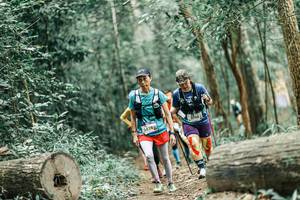 BIB: 
                            <button type="button" onclick="openModal(25990112)" class="btn btn-primary btn-sm float-right btn-popup" data-toggle="modal" data-target=".modal-high-quality">
                        <i class="fas fa-shopping-cart"></i> Add to Cart
                    </button>
                                            <button type="button" onclick="isThisMe(25990112, true)" class="btn btn-success btn-sm float-right btn-popup btn-isme hidden" data-toggle="tooltip" data-placement="bottom" title="นี่คือรูปของคุณใช่ไหม คลิกที่นี่เพื่อเอาเข้าอัลบั้ม">
                        <i class="fas fa-plus"></i> Add to album
                    </button>
                    <button type="button" onclick="isThisMe(25990112, false)" class="btn btn-warning btn-sm float-right btn-popup btn-isnotme hidden">
                        <i class="fas fa-ban"></i> Remove from album
                    </button>