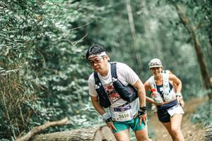 BIB: 
                            <button type="button" onclick="openModal(25987706)" class="btn btn-primary btn-sm float-right btn-popup" data-toggle="modal" data-target=".modal-high-quality">
                        <i class="fas fa-shopping-cart"></i> Add to Cart
                    </button>
                                            <button type="button" onclick="isThisMe(25987706, true)" class="btn btn-success btn-sm float-right btn-popup btn-isme hidden" data-toggle="tooltip" data-placement="bottom" title="นี่คือรูปของคุณใช่ไหม คลิกที่นี่เพื่อเอาเข้าอัลบั้ม">
                        <i class="fas fa-plus"></i> Add to album
                    </button>
                    <button type="button" onclick="isThisMe(25987706, false)" class="btn btn-warning btn-sm float-right btn-popup btn-isnotme hidden">
                        <i class="fas fa-ban"></i> Remove from album
                    </button>