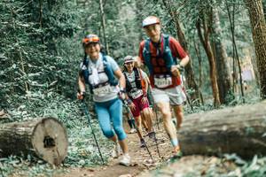 BIB: 
                            <button type="button" onclick="openModal(25989555)" class="btn btn-primary btn-sm float-right btn-popup" data-toggle="modal" data-target=".modal-high-quality">
                        <i class="fas fa-shopping-cart"></i> Add to Cart
                    </button>
                                            <button type="button" onclick="isThisMe(25989555, true)" class="btn btn-success btn-sm float-right btn-popup btn-isme hidden" data-toggle="tooltip" data-placement="bottom" title="นี่คือรูปของคุณใช่ไหม คลิกที่นี่เพื่อเอาเข้าอัลบั้ม">
                        <i class="fas fa-plus"></i> Add to album
                    </button>
                    <button type="button" onclick="isThisMe(25989555, false)" class="btn btn-warning btn-sm float-right btn-popup btn-isnotme hidden">
                        <i class="fas fa-ban"></i> Remove from album
                    </button>