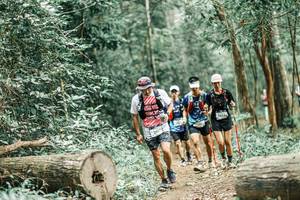 BIB: 
                            <button type="button" onclick="openModal(25987366)" class="btn btn-primary btn-sm float-right btn-popup" data-toggle="modal" data-target=".modal-high-quality">
                        <i class="fas fa-shopping-cart"></i> Add to Cart
                    </button>
                                            <button type="button" onclick="isThisMe(25987366, true)" class="btn btn-success btn-sm float-right btn-popup btn-isme hidden" data-toggle="tooltip" data-placement="bottom" title="นี่คือรูปของคุณใช่ไหม คลิกที่นี่เพื่อเอาเข้าอัลบั้ม">
                        <i class="fas fa-plus"></i> Add to album
                    </button>
                    <button type="button" onclick="isThisMe(25987366, false)" class="btn btn-warning btn-sm float-right btn-popup btn-isnotme hidden">
                        <i class="fas fa-ban"></i> Remove from album
                    </button>