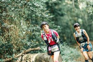 BIB: 
                            <button type="button" onclick="openModal(25984476)" class="btn btn-primary btn-sm float-right btn-popup" data-toggle="modal" data-target=".modal-high-quality">
                        <i class="fas fa-shopping-cart"></i> Add to Cart
                    </button>
                                            <button type="button" onclick="isThisMe(25984476, true)" class="btn btn-success btn-sm float-right btn-popup btn-isme hidden" data-toggle="tooltip" data-placement="bottom" title="นี่คือรูปของคุณใช่ไหม คลิกที่นี่เพื่อเอาเข้าอัลบั้ม">
                        <i class="fas fa-plus"></i> Add to album
                    </button>
                    <button type="button" onclick="isThisMe(25984476, false)" class="btn btn-warning btn-sm float-right btn-popup btn-isnotme hidden">
                        <i class="fas fa-ban"></i> Remove from album
                    </button>