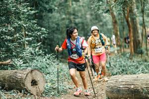 BIB: 
                            <button type="button" onclick="openModal(25983913)" class="btn btn-primary btn-sm float-right btn-popup" data-toggle="modal" data-target=".modal-high-quality">
                        <i class="fas fa-shopping-cart"></i> Add to Cart
                    </button>
                                            <button type="button" onclick="isThisMe(25983913, true)" class="btn btn-success btn-sm float-right btn-popup btn-isme hidden" data-toggle="tooltip" data-placement="bottom" title="นี่คือรูปของคุณใช่ไหม คลิกที่นี่เพื่อเอาเข้าอัลบั้ม">
                        <i class="fas fa-plus"></i> Add to album
                    </button>
                    <button type="button" onclick="isThisMe(25983913, false)" class="btn btn-warning btn-sm float-right btn-popup btn-isnotme hidden">
                        <i class="fas fa-ban"></i> Remove from album
                    </button>