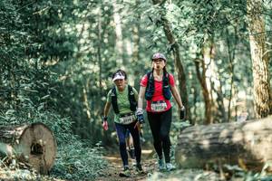 BIB: 
                            <button type="button" onclick="openModal(26004804)" class="btn btn-primary btn-sm float-right btn-popup" data-toggle="modal" data-target=".modal-high-quality">
                        <i class="fas fa-shopping-cart"></i> Add to Cart
                    </button>
                                            <button type="button" onclick="isThisMe(26004804, true)" class="btn btn-success btn-sm float-right btn-popup btn-isme hidden" data-toggle="tooltip" data-placement="bottom" title="นี่คือรูปของคุณใช่ไหม คลิกที่นี่เพื่อเอาเข้าอัลบั้ม">
                        <i class="fas fa-plus"></i> Add to album
                    </button>
                    <button type="button" onclick="isThisMe(26004804, false)" class="btn btn-warning btn-sm float-right btn-popup btn-isnotme hidden">
                        <i class="fas fa-ban"></i> Remove from album
                    </button>