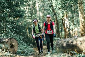 BIB: 
                            <button type="button" onclick="openModal(26004810)" class="btn btn-primary btn-sm float-right btn-popup" data-toggle="modal" data-target=".modal-high-quality">
                        <i class="fas fa-shopping-cart"></i> Add to Cart
                    </button>
                                            <button type="button" onclick="isThisMe(26004810, true)" class="btn btn-success btn-sm float-right btn-popup btn-isme hidden" data-toggle="tooltip" data-placement="bottom" title="นี่คือรูปของคุณใช่ไหม คลิกที่นี่เพื่อเอาเข้าอัลบั้ม">
                        <i class="fas fa-plus"></i> Add to album
                    </button>
                    <button type="button" onclick="isThisMe(26004810, false)" class="btn btn-warning btn-sm float-right btn-popup btn-isnotme hidden">
                        <i class="fas fa-ban"></i> Remove from album
                    </button>