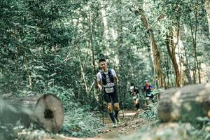 BIB: 
                            <button type="button" onclick="openModal(26005329)" class="btn btn-primary btn-sm float-right btn-popup" data-toggle="modal" data-target=".modal-high-quality">
                        <i class="fas fa-shopping-cart"></i> Add to Cart
                    </button>
                                            <button type="button" onclick="isThisMe(26005329, true)" class="btn btn-success btn-sm float-right btn-popup btn-isme hidden" data-toggle="tooltip" data-placement="bottom" title="นี่คือรูปของคุณใช่ไหม คลิกที่นี่เพื่อเอาเข้าอัลบั้ม">
                        <i class="fas fa-plus"></i> Add to album
                    </button>
                    <button type="button" onclick="isThisMe(26005329, false)" class="btn btn-warning btn-sm float-right btn-popup btn-isnotme hidden">
                        <i class="fas fa-ban"></i> Remove from album
                    </button>