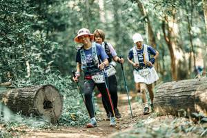 BIB: 
                            <button type="button" onclick="openModal(26019962)" class="btn btn-primary btn-sm float-right btn-popup" data-toggle="modal" data-target=".modal-high-quality">
                        <i class="fas fa-shopping-cart"></i> Add to Cart
                    </button>
                                            <button type="button" onclick="isThisMe(26019962, true)" class="btn btn-success btn-sm float-right btn-popup btn-isme hidden" data-toggle="tooltip" data-placement="bottom" title="นี่คือรูปของคุณใช่ไหม คลิกที่นี่เพื่อเอาเข้าอัลบั้ม">
                        <i class="fas fa-plus"></i> Add to album
                    </button>
                    <button type="button" onclick="isThisMe(26019962, false)" class="btn btn-warning btn-sm float-right btn-popup btn-isnotme hidden">
                        <i class="fas fa-ban"></i> Remove from album
                    </button>