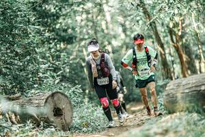 BIB: 
                            <button type="button" onclick="openModal(26022520)" class="btn btn-primary btn-sm float-right btn-popup" data-toggle="modal" data-target=".modal-high-quality">
                        <i class="fas fa-shopping-cart"></i> Add to Cart
                    </button>
                                            <button type="button" onclick="isThisMe(26022520, true)" class="btn btn-success btn-sm float-right btn-popup btn-isme hidden" data-toggle="tooltip" data-placement="bottom" title="นี่คือรูปของคุณใช่ไหม คลิกที่นี่เพื่อเอาเข้าอัลบั้ม">
                        <i class="fas fa-plus"></i> Add to album
                    </button>
                    <button type="button" onclick="isThisMe(26022520, false)" class="btn btn-warning btn-sm float-right btn-popup btn-isnotme hidden">
                        <i class="fas fa-ban"></i> Remove from album
                    </button>