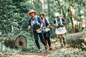 BIB: 
                            <button type="button" onclick="openModal(26019963)" class="btn btn-primary btn-sm float-right btn-popup" data-toggle="modal" data-target=".modal-high-quality">
                        <i class="fas fa-shopping-cart"></i> Add to Cart
                    </button>
                                            <button type="button" onclick="isThisMe(26019963, true)" class="btn btn-success btn-sm float-right btn-popup btn-isme hidden" data-toggle="tooltip" data-placement="bottom" title="นี่คือรูปของคุณใช่ไหม คลิกที่นี่เพื่อเอาเข้าอัลบั้ม">
                        <i class="fas fa-plus"></i> Add to album
                    </button>
                    <button type="button" onclick="isThisMe(26019963, false)" class="btn btn-warning btn-sm float-right btn-popup btn-isnotme hidden">
                        <i class="fas fa-ban"></i> Remove from album
                    </button>