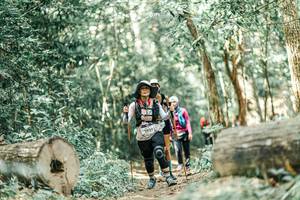 BIB: 
                            <button type="button" onclick="openModal(26021568)" class="btn btn-primary btn-sm float-right btn-popup" data-toggle="modal" data-target=".modal-high-quality">
                        <i class="fas fa-shopping-cart"></i> Add to Cart
                    </button>
                                            <button type="button" onclick="isThisMe(26021568, true)" class="btn btn-success btn-sm float-right btn-popup btn-isme hidden" data-toggle="tooltip" data-placement="bottom" title="นี่คือรูปของคุณใช่ไหม คลิกที่นี่เพื่อเอาเข้าอัลบั้ม">
                        <i class="fas fa-plus"></i> Add to album
                    </button>
                    <button type="button" onclick="isThisMe(26021568, false)" class="btn btn-warning btn-sm float-right btn-popup btn-isnotme hidden">
                        <i class="fas fa-ban"></i> Remove from album
                    </button>